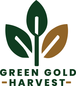 logo main