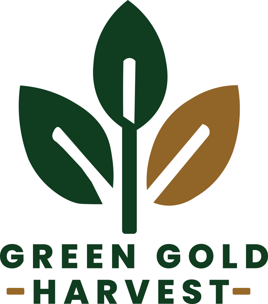 logo main